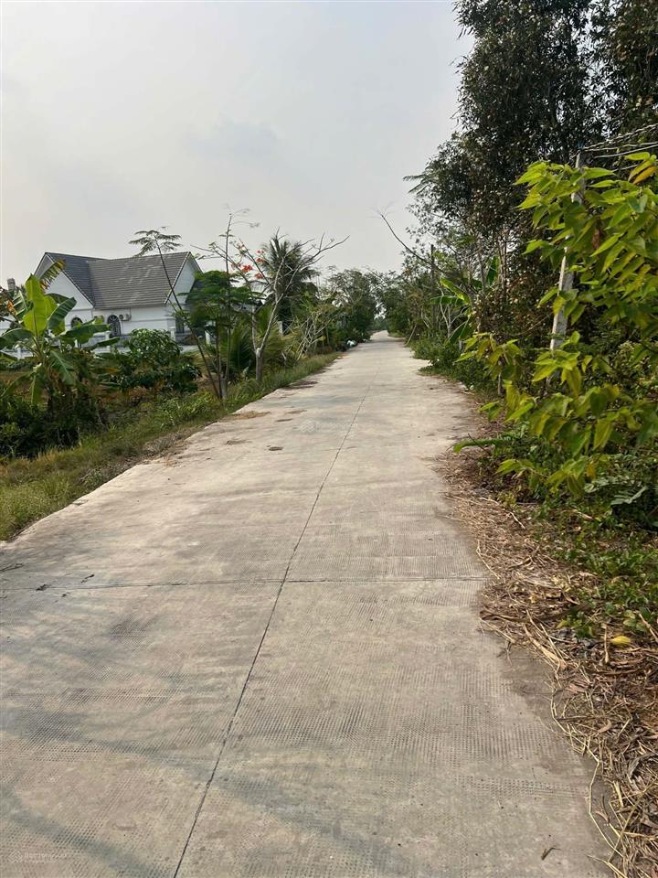 Bán đất cất nhà vườn nghỉ dưỡng, đầu tư 10x33 giá ngộp 890tr, shr, đường bê tông 7m, xã hòa khánh