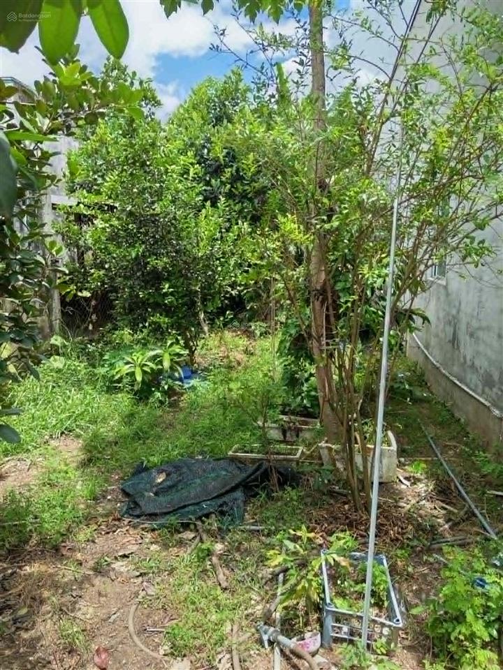 Nhà vườn sổ hồng riêng, 8x17m, shr, thổ cư, giá chỉ 1tỷ250 ngay đức hòa thượng,  0704 794 ***