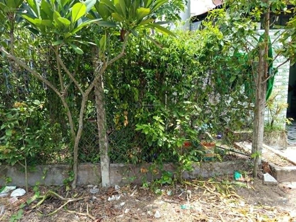 Nhà vườn sổ hồng riêng, 8x17m, shr, thổ cư, giá chỉ 1tỷ250 ngay đức hòa thượng,  0704 794 ***