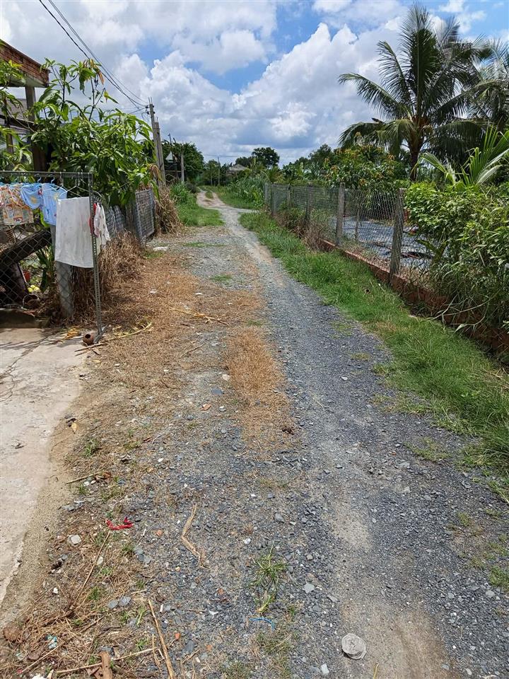 Nhà vườn sổ hồng riêng, 8x17m, shr, thổ cư, giá chỉ 1tỷ250 ngay đức hòa thượng,  0704 794 ***