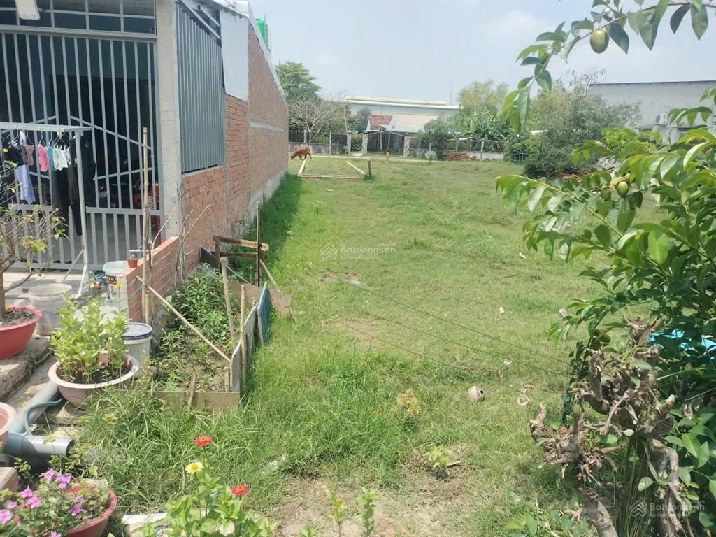 Chủ cắt lỗ, bán nhanh lô đất sổ sẵn, đường bàu sen, xã hòa khánh, 4x23 giá quá rẻ chỉ 450tr, shr