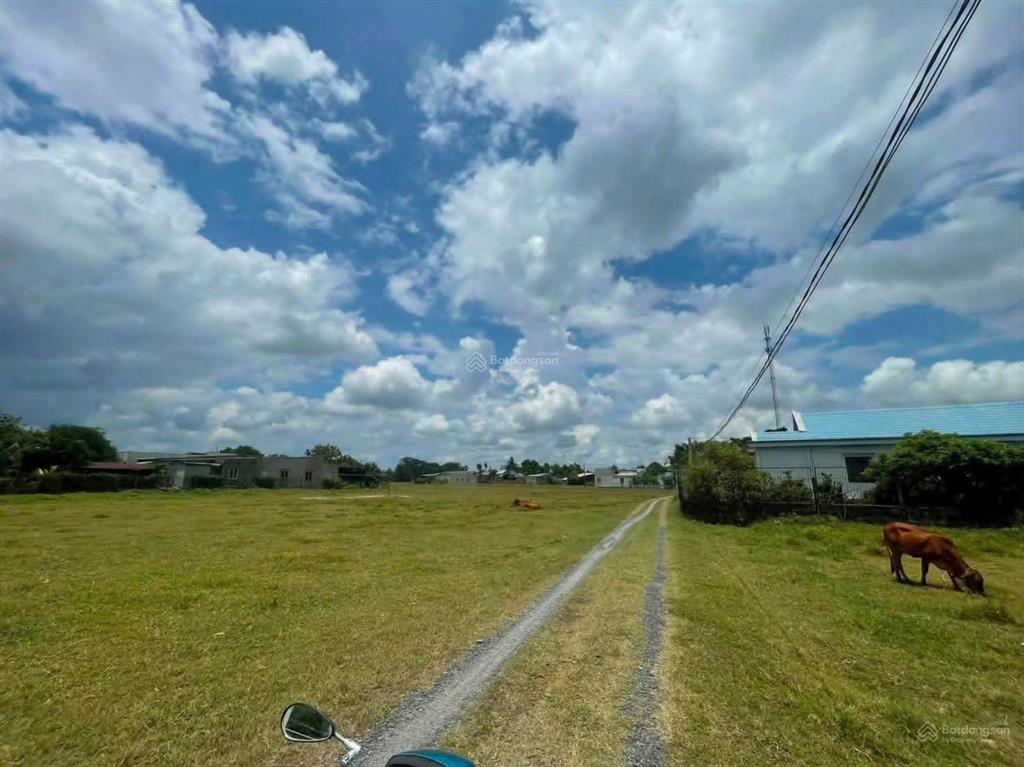 Cơ hội mua đất giá rẻ ngay chợ chiều, đức hòa hạ, 4x25  100m2, giá tốt 690 triệu, đường 4m trên sổ