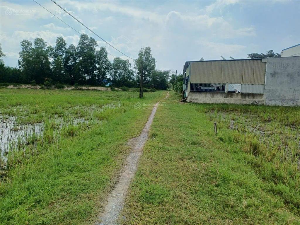 Ngộp! 378m2 đất xây nhà vườn, ngay sát ubx đức hòa thượng, sổ sẵn, đã san lấp giá chỉ có 1tỷ050