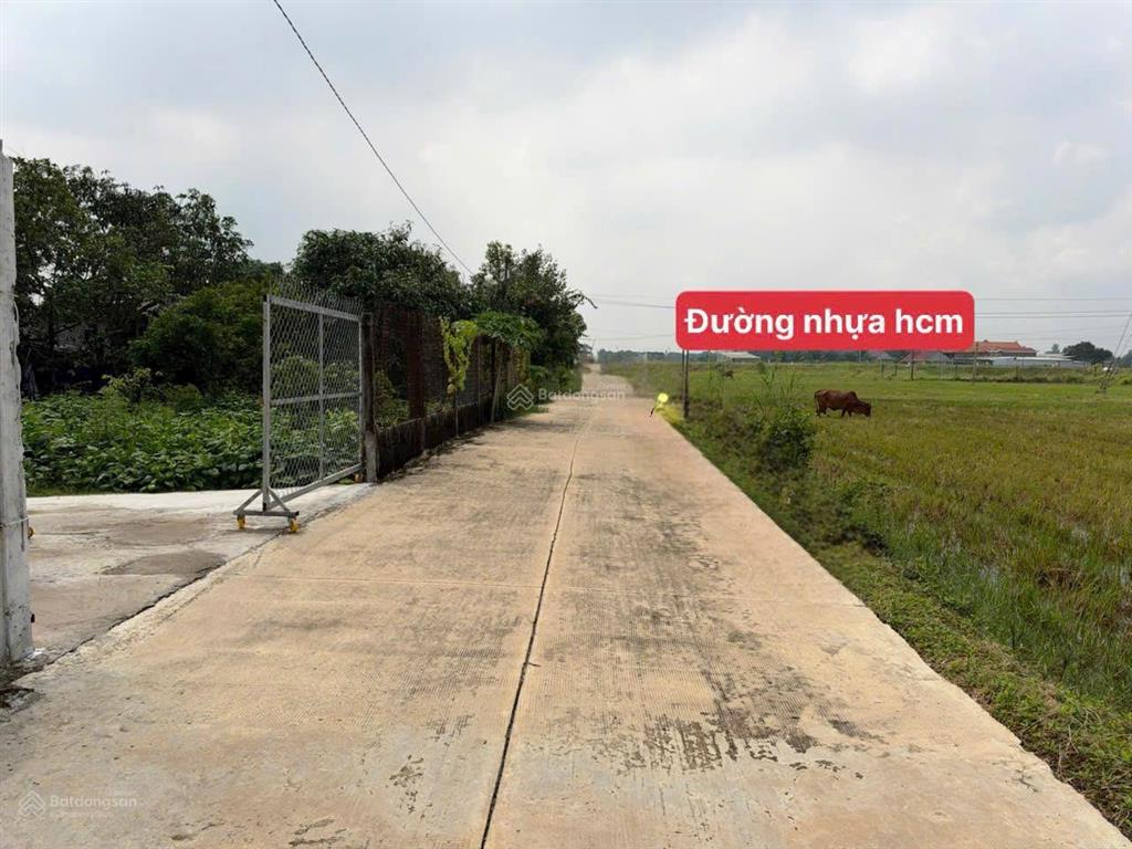 Đất nằm 1 sẹc đường hồ chí minh, ngay bệnh viện hậu nghĩa, 5x24 giá ngợp 695tr, đường bê tông 5m