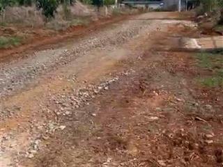 Kẹt tiền kinh doanh nên bán đất sào gần kcn diện tích 1050m2 (30*35m). giá 500tr