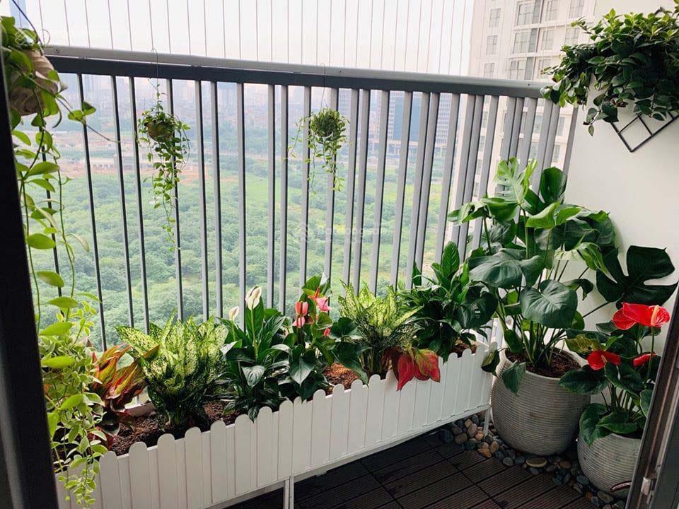 Bán cc tại xã song tử tây, huyện trường sa, khánh hòa, giá thỏa thuận, 300m2 siêu hot