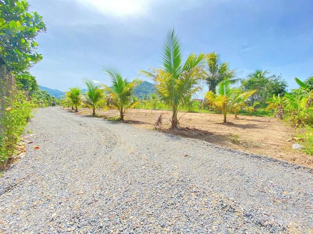 Suối cát, cam lâm  full thổ cư  chỉ 470 triệu  cách ql1a 500m