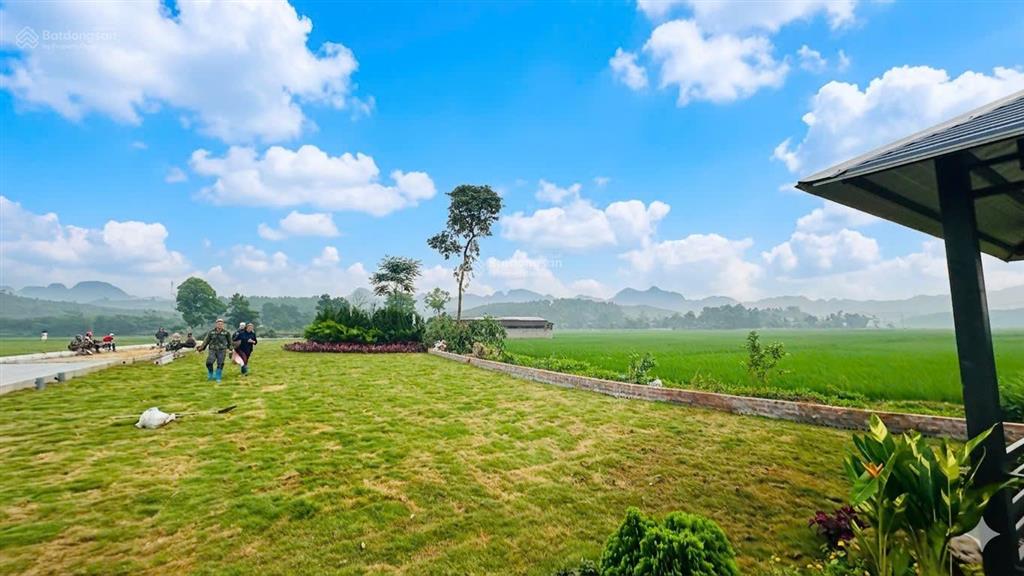 Lô đất chỉ 430 triệu đầu tư làm nhà ở nghỉ dưỡng nằm tại ba đồi, lạc thủy, hòa bình