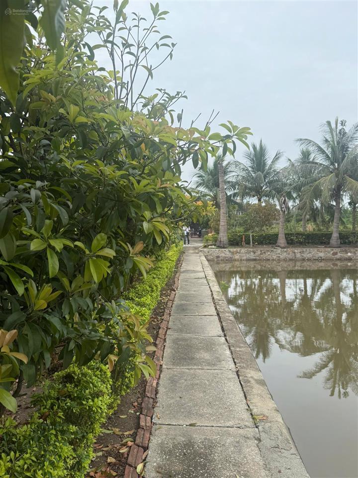 Tuyệt tác nghỉ dưỡng 15.000m2 tại tâm điểm dương kinh