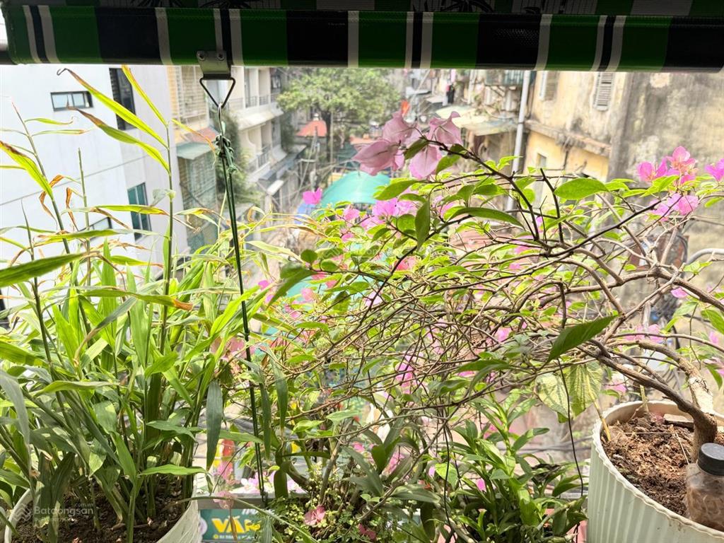 Siêu phẩm đống đa ! ngõ văn chương, phố ô tô tránh, siêu thoáng, kinh doanh,nhà mới ở ngay, 25m2x4t