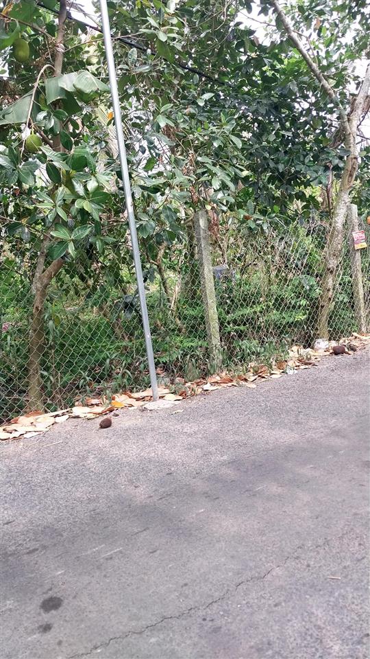 Cần bán gấp nền đất mặt tiền lộ nhựa 3.5m