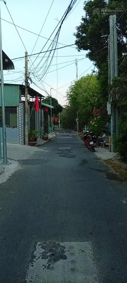 Bán đất long hải gần biển có 176,3 m² thổ cư sổ riêng thích hợp đầu tư nghỉ dưỡng