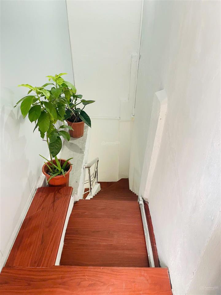 Siêu phẩm! cho thuê nhà nguyên căn đội cấn ba đình. mới, đẹp, ở luôn. 40m2x3t, 3 ngủ. chỉ 10 triệu