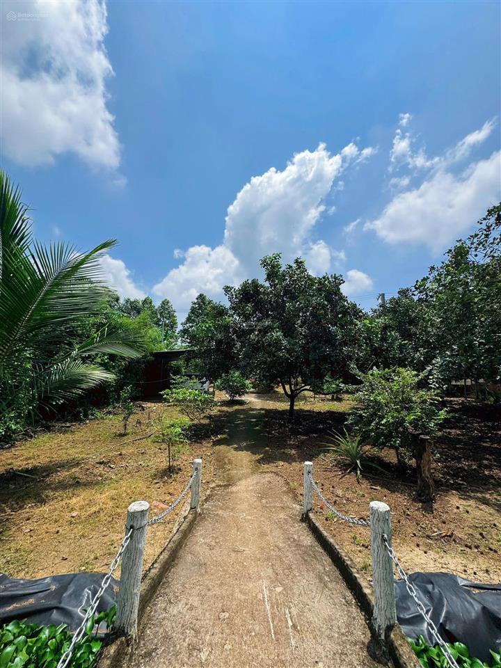 [góc chuyển nhượng] chỉ 4t950 cho "thiên đường xanh" 3000m² tại đồng nai