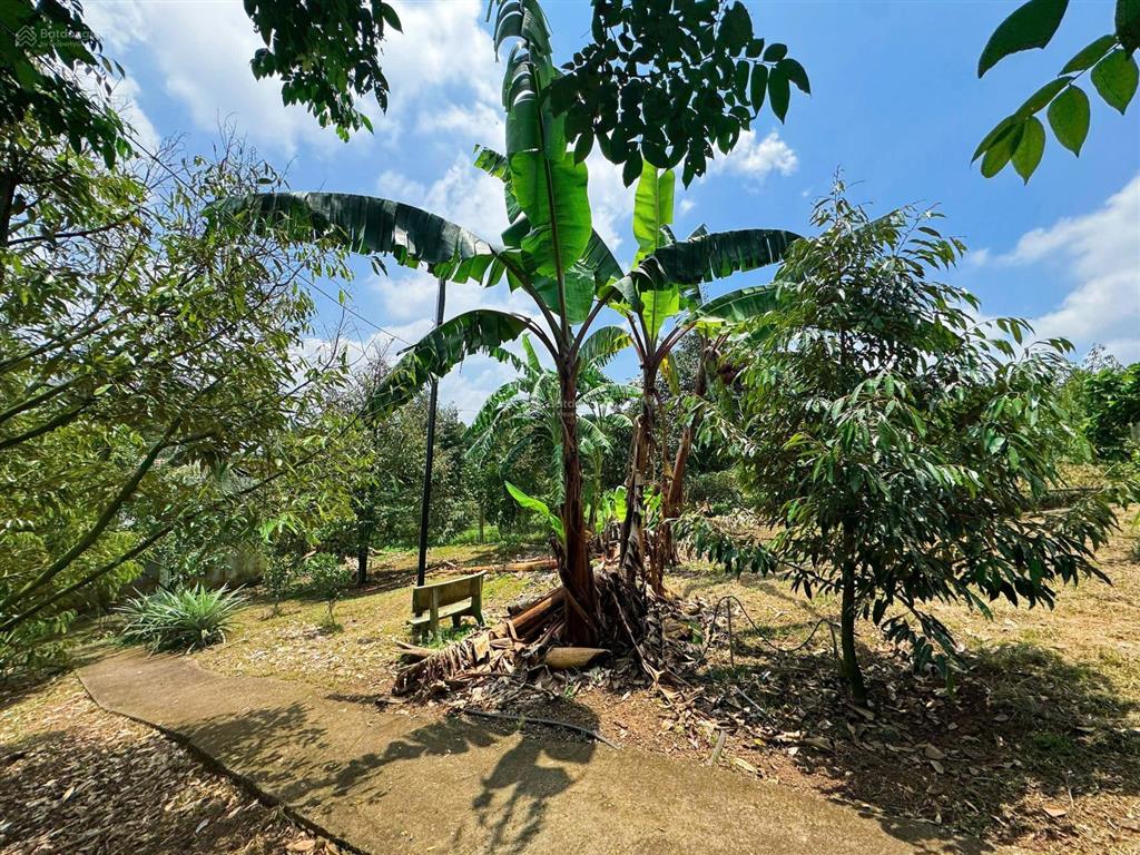 [góc chuyển nhượng] chỉ 4t950 cho "thiên đường xanh" 3000m² tại đồng nai