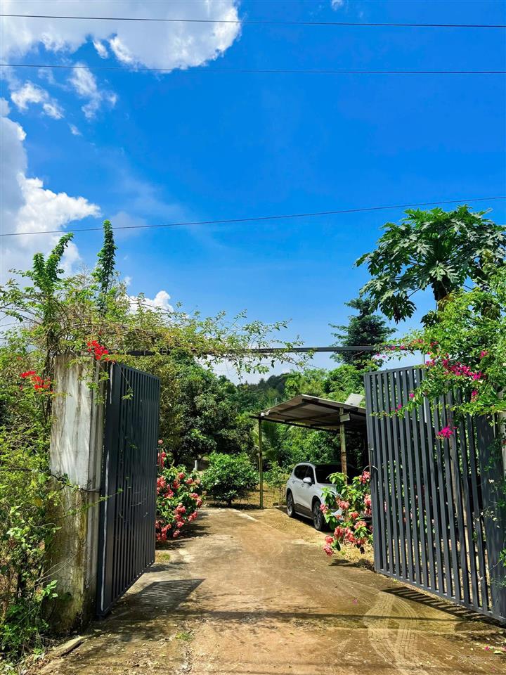 [góc chuyển nhượng] chỉ 4t950 cho "thiên đường xanh" 3000m² tại đồng nai