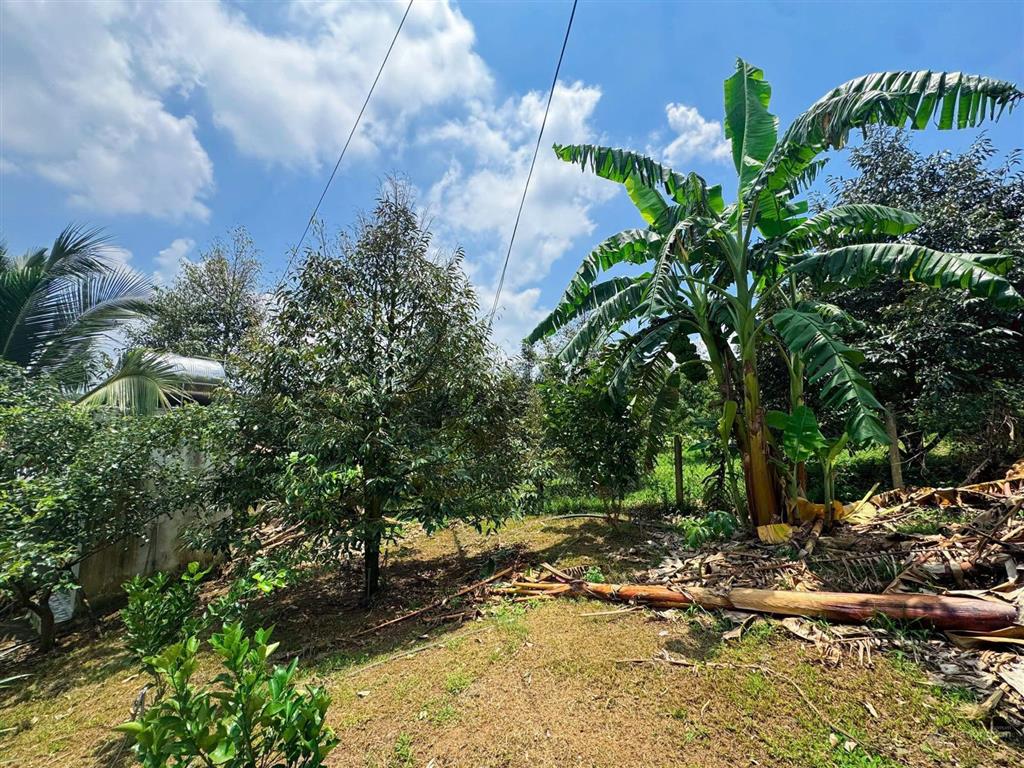 [góc chuyển nhượng] chỉ 4t950 cho "thiên đường xanh" 3000m² tại đồng nai