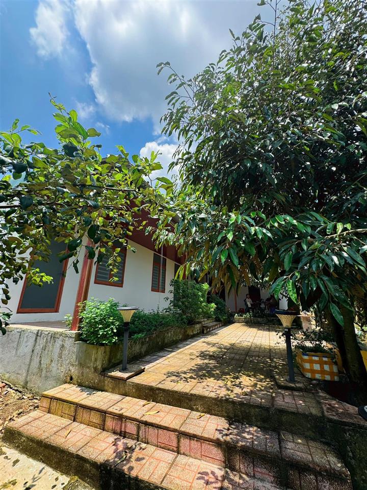 [góc chuyển nhượng] chỉ 4t950 cho "thiên đường xanh" 3000m² tại đồng nai