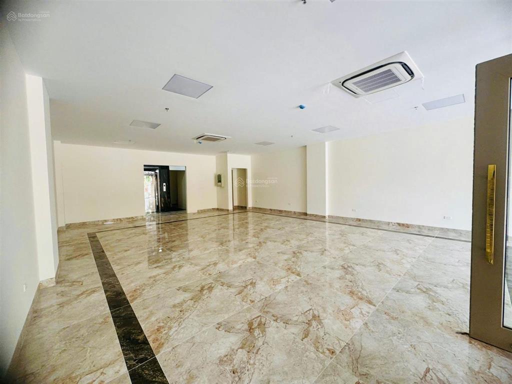 Bán toà nhà mặt phố tuệ tĩnh  hai bà trưng  kinh doanh sầm uất. dt 198m2 x 9 tầng. giá 176 tỷ