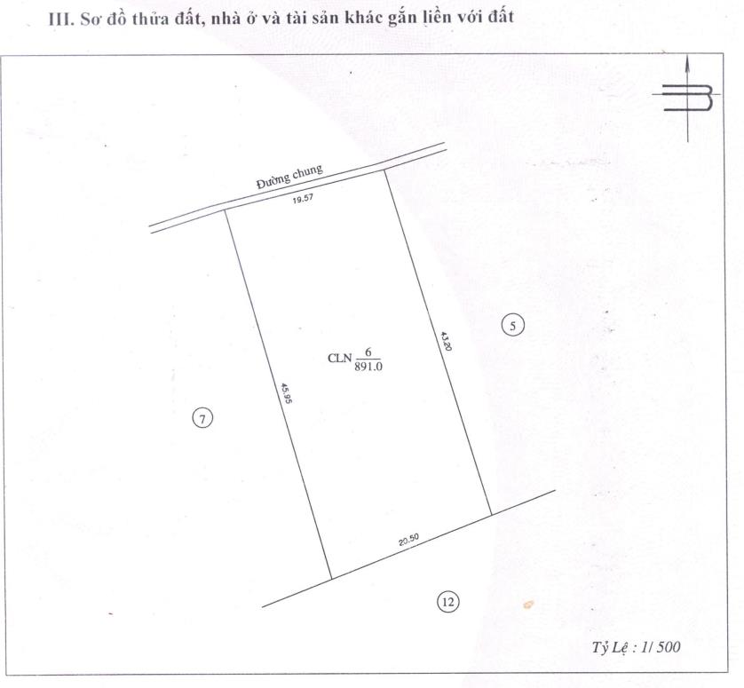 Đánh thức giác quan tại thiên đường mặt tiền biển tại đảo hải tặc, kiên giang