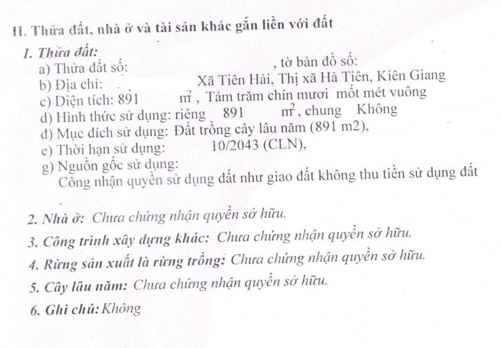 Đánh thức giác quan tại thiên đường mặt tiền biển tại đảo hải tặc, kiên giang