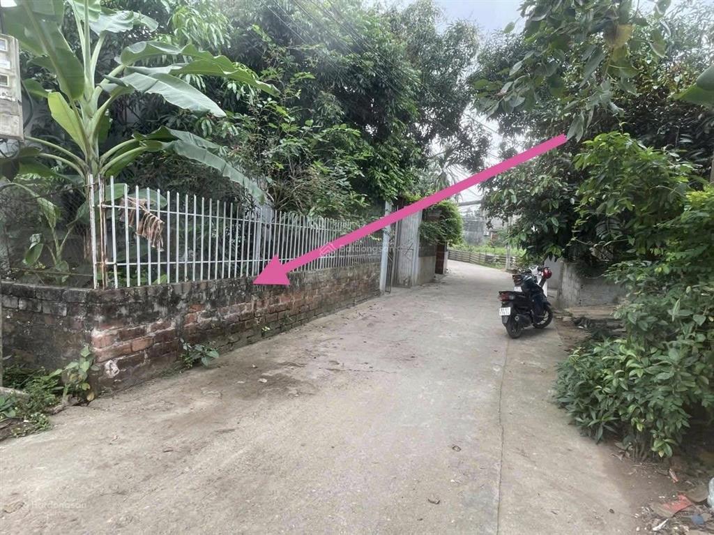 Bán đất tại thôn ab quán trạch, 4,4 tỷ, 100m2, mặt tiền 7m