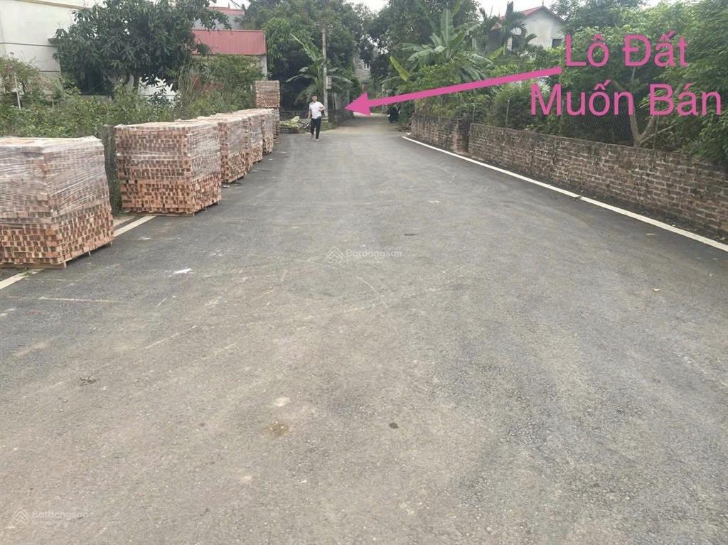 Bán đất tại thôn ab quán trạch, 4,4 tỷ, 100m2, mặt tiền 7m