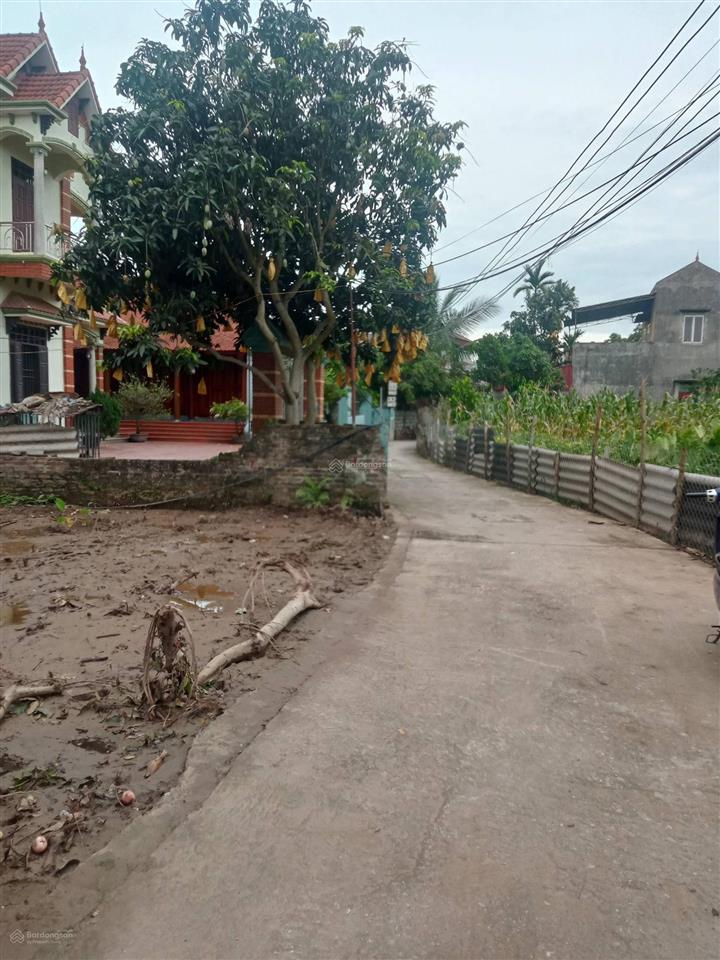 Bán đất tại thôn ab quán trạch, 4,4 tỷ, 100m2, mặt tiền 7m