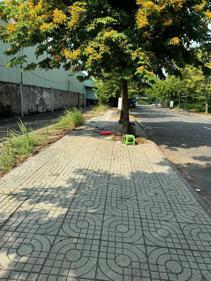 Bán đất phường an phú đông quận 12