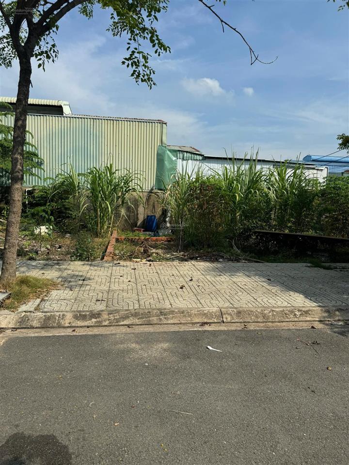 Bán đất phường an phú đông quận 12