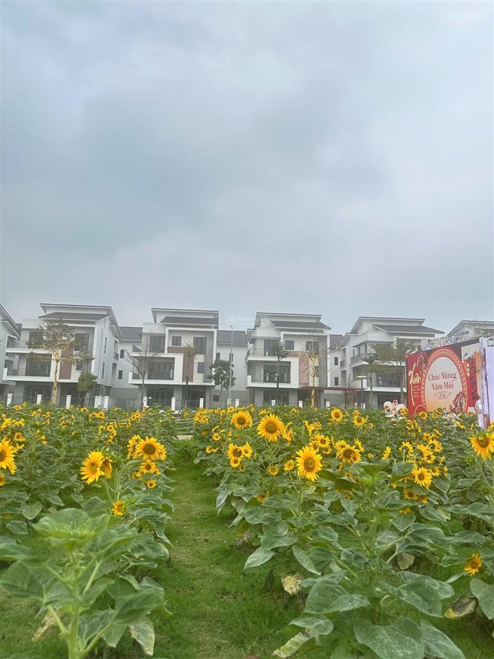 Bán biệt thự hàng chủ đầu tư cách phố cổ hà nội chỉ 15 phút di chuyển