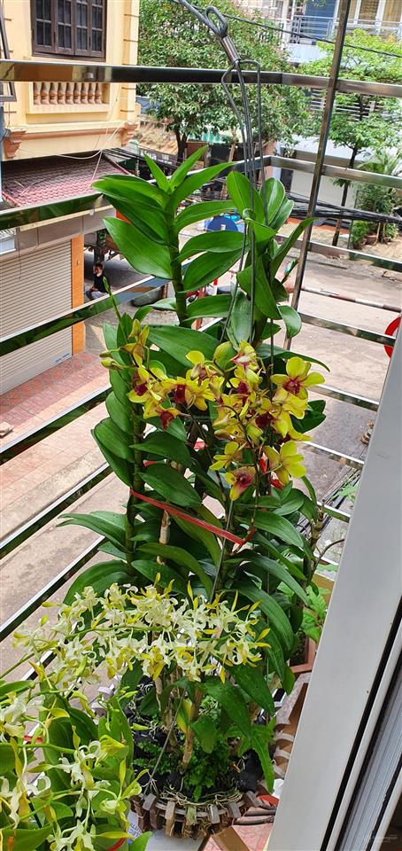 Bán nhà ngõ rộng ô tô đỗ thoải mái