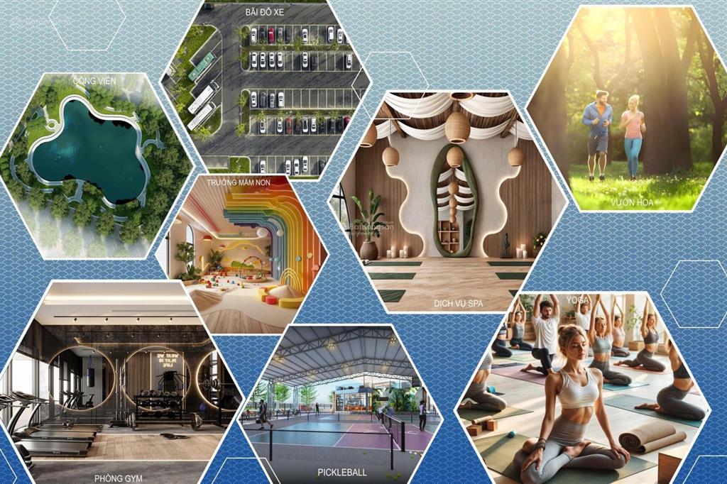 Cần chuyển nhượng căn hộ chung cư