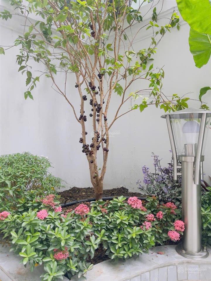 Cho thuê biệt thự sao biển 90m2 full nội thất đẹp trung tâm gần hồ gần vincom gần bể bơi chỉ 25tr