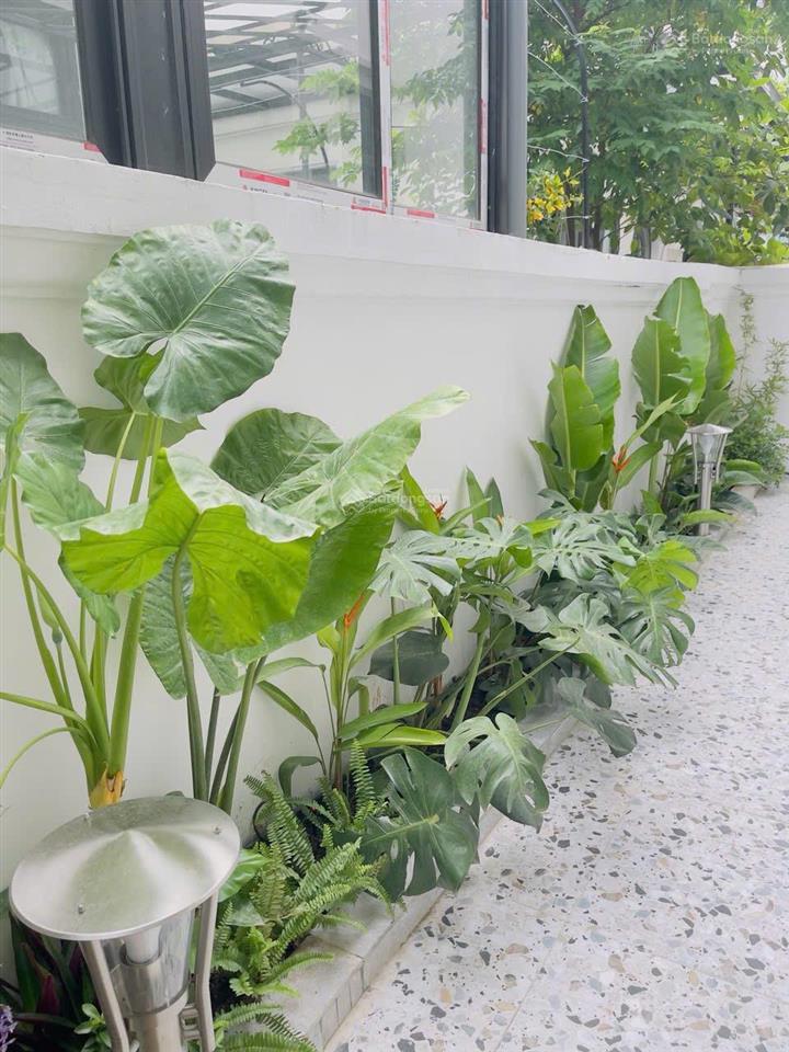 Cho thuê biệt thự sao biển 90m2 full nội thất đẹp trung tâm gần hồ gần vincom gần bể bơi chỉ 25tr