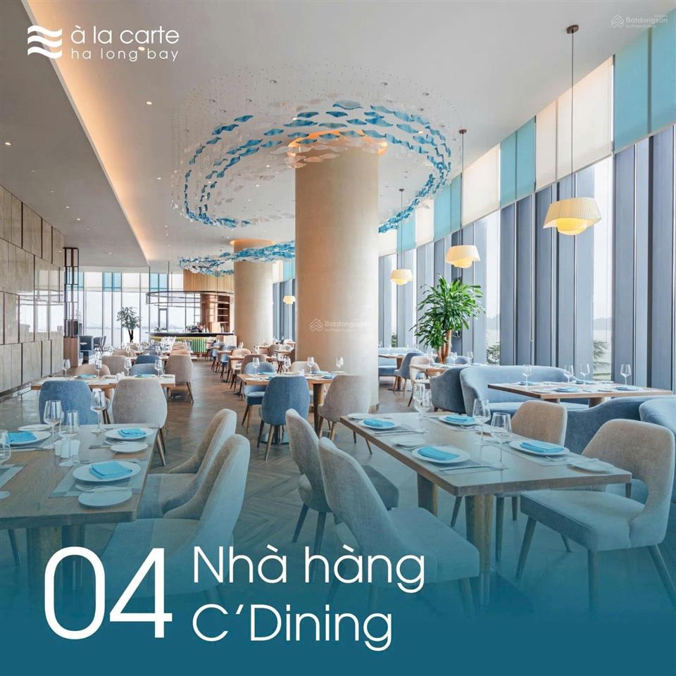 Chính chủ cần bán căn hộ studio a la carte hạ long  giá chỉ 3 tỷ