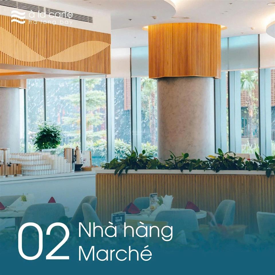 Chính chủ cần bán căn hộ studio a la carte hạ long  giá chỉ 3 tỷ