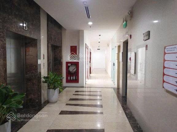 Cho thuê 100m2 sàn vp toà sky city láng hạ, giá hợp lý, sẵn bàn giao