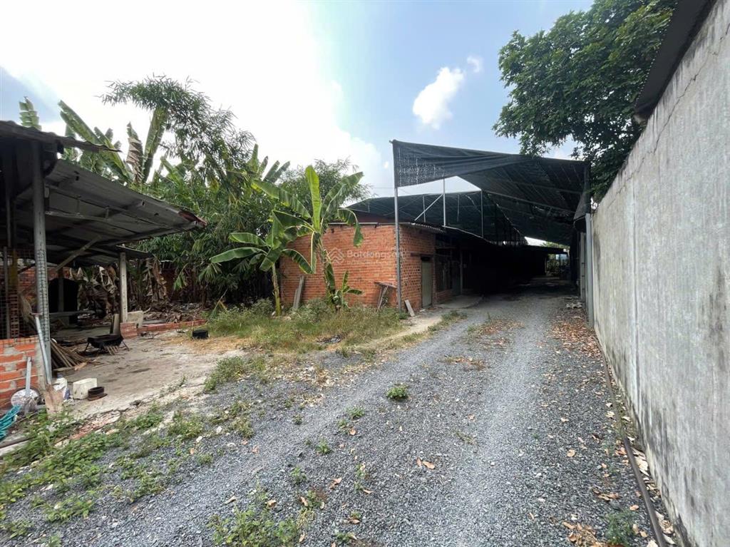 Bán đất nhà xưởng, gần chợ, có 200m thổ cư, có vườn cây