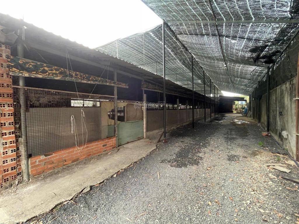 Bán đất nhà xưởng, gần chợ, có 200m thổ cư, có vườn cây