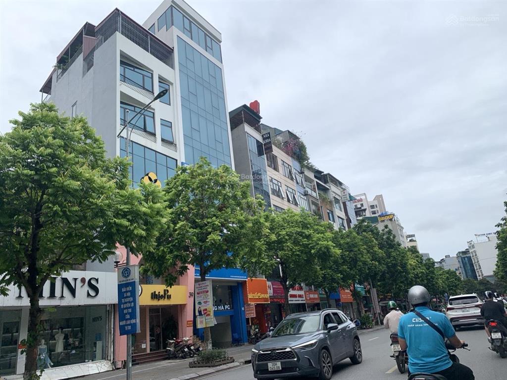 Chính chủ bán gấp nhà mặt phố trương công giai 40m2, vỉa hè đá bóng, kinh doanh sầm uất giá 16,8 tỷ