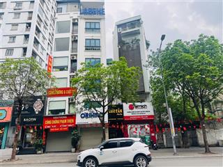 Chính chủ bán gấp nhà mặt phố trương công giai 40m2, vỉa hè đá bóng, kinh doanh sầm uất giá 16,8 tỷ