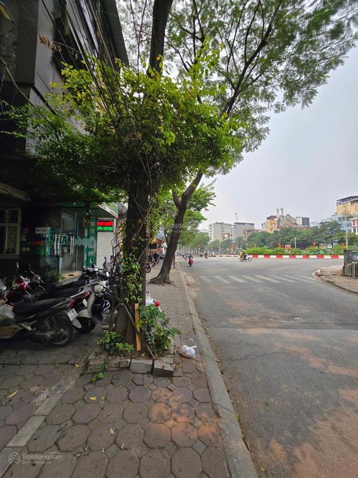Siêu phẩm tòa mp vũ tông phan dt 196 m² x 9 tầng. hầm x mt 10,89 m x chỉ 130 tỷ