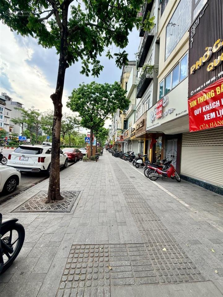 Siêu phẩm mp ô chợ dừa đống đa 120 m². 4 tầng. mt 5.2 m. chỉ 86 tỷ.