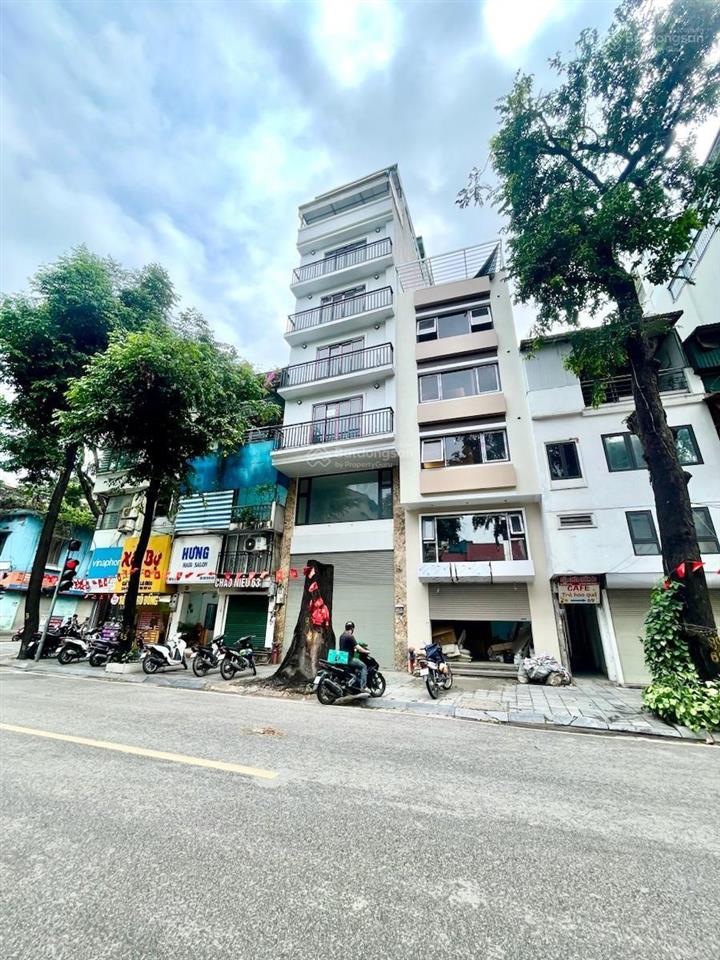 Siêu phẩm mp lò đúc hai bà trưng, dt 255 m². 4 tầng. mt 11 m. chỉ 220 tỷ