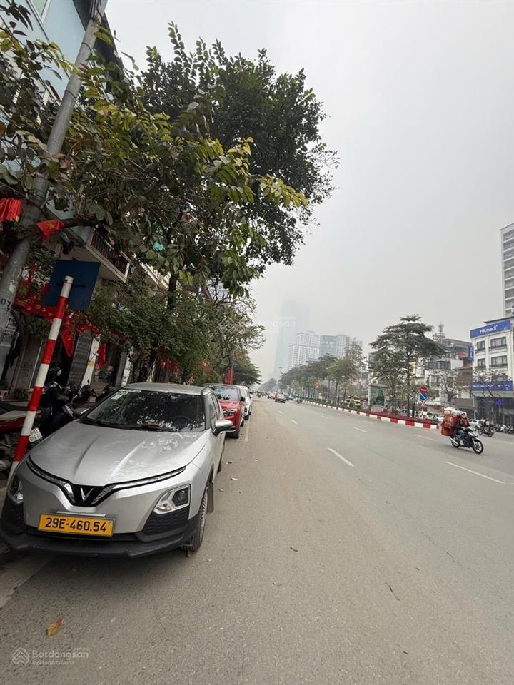 Siêu phẩm mp văn cao ba đình s 50 m², 5 tầng, mt 4.5m, giá tốt 37 tỷ