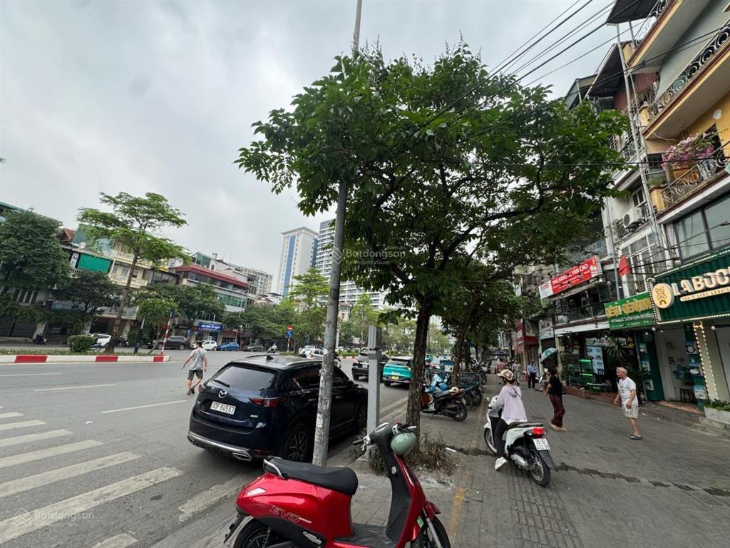 Siêu phẩm mp văn cao ba đình s 50 m², 5 tầng, mt 4.5m, giá tốt 37 tỷ