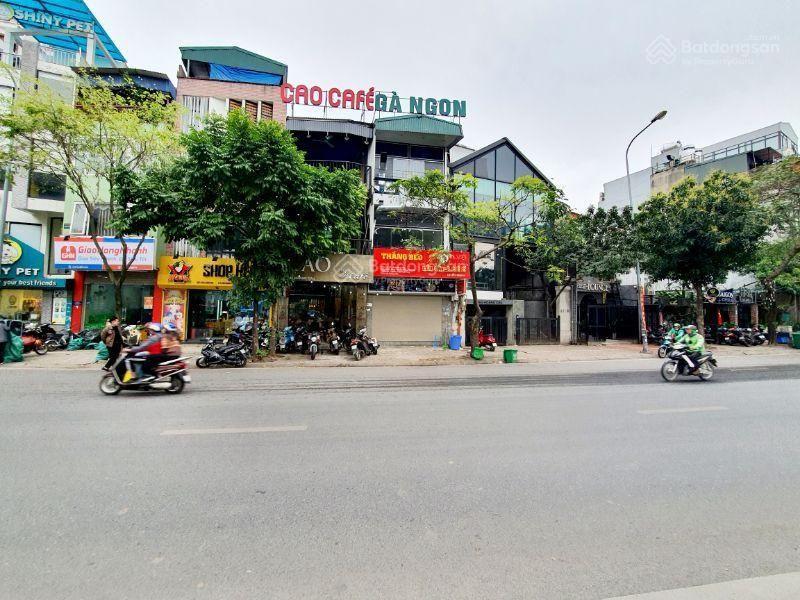 Mp hoàng cầu đống đa dt 245 m². 4 tầng tm. mt 8.5 m². chỉ 165 tỷ