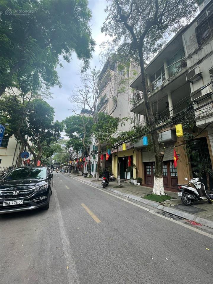 Siêu phẩm mp yên ninh ba đình dt 90 m. c4. mt 5.5 m. chỉ 75 tỷ