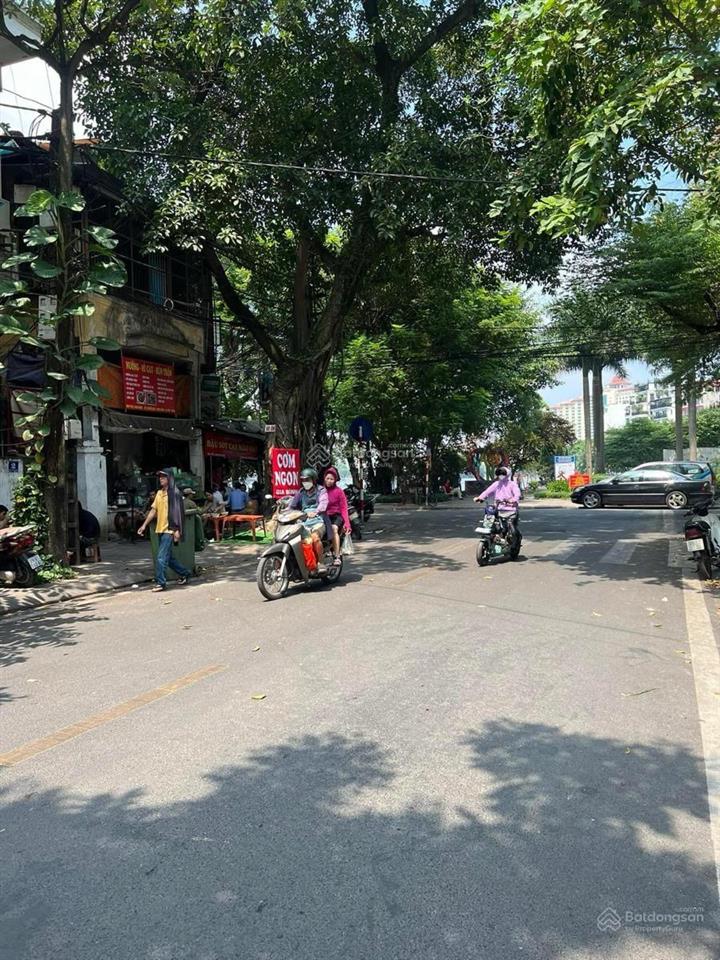 Siêu phẩm mp nguyễn biểu ba đình dt 56 m. 5 tầng. mt 6.9 m. chỉ 49 tỷ